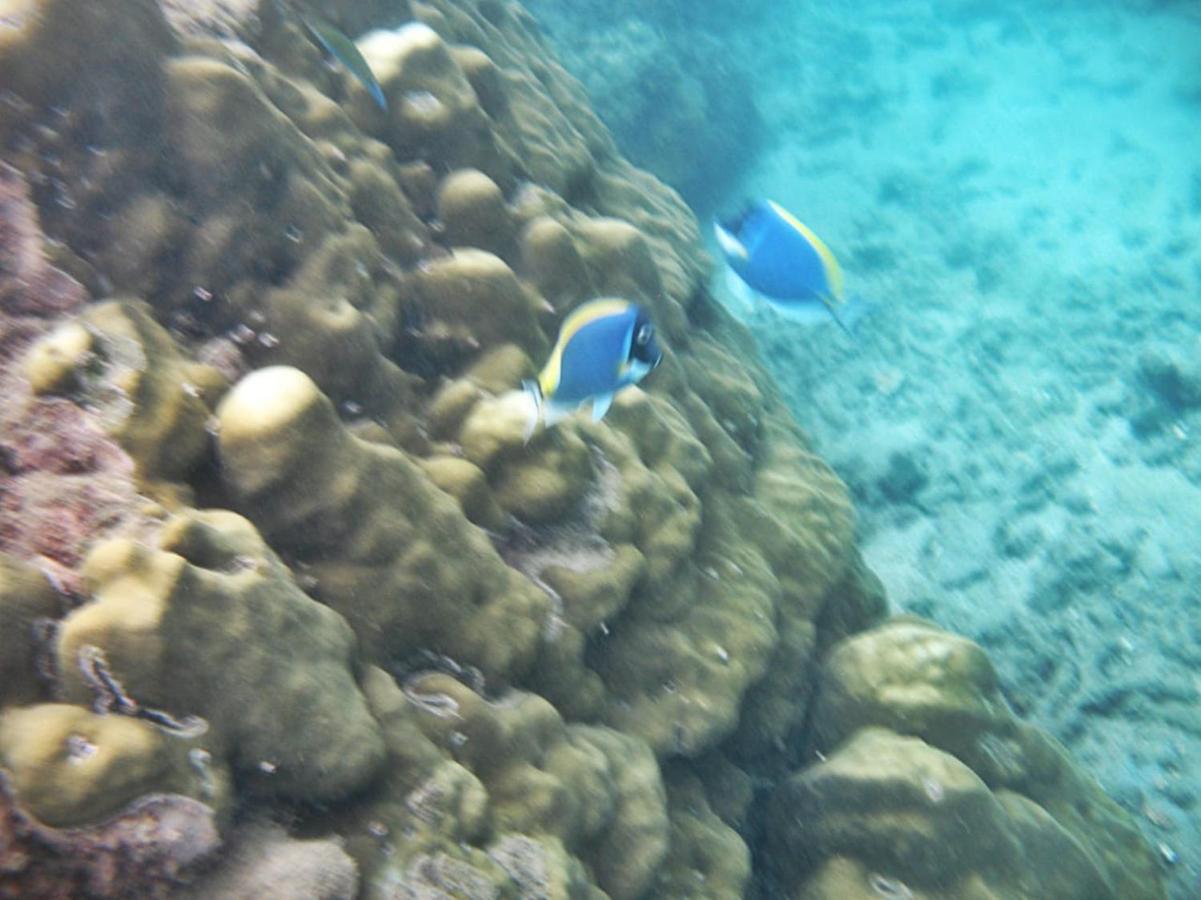 Giman Free Beach Resort Passikudah Buitenkant foto