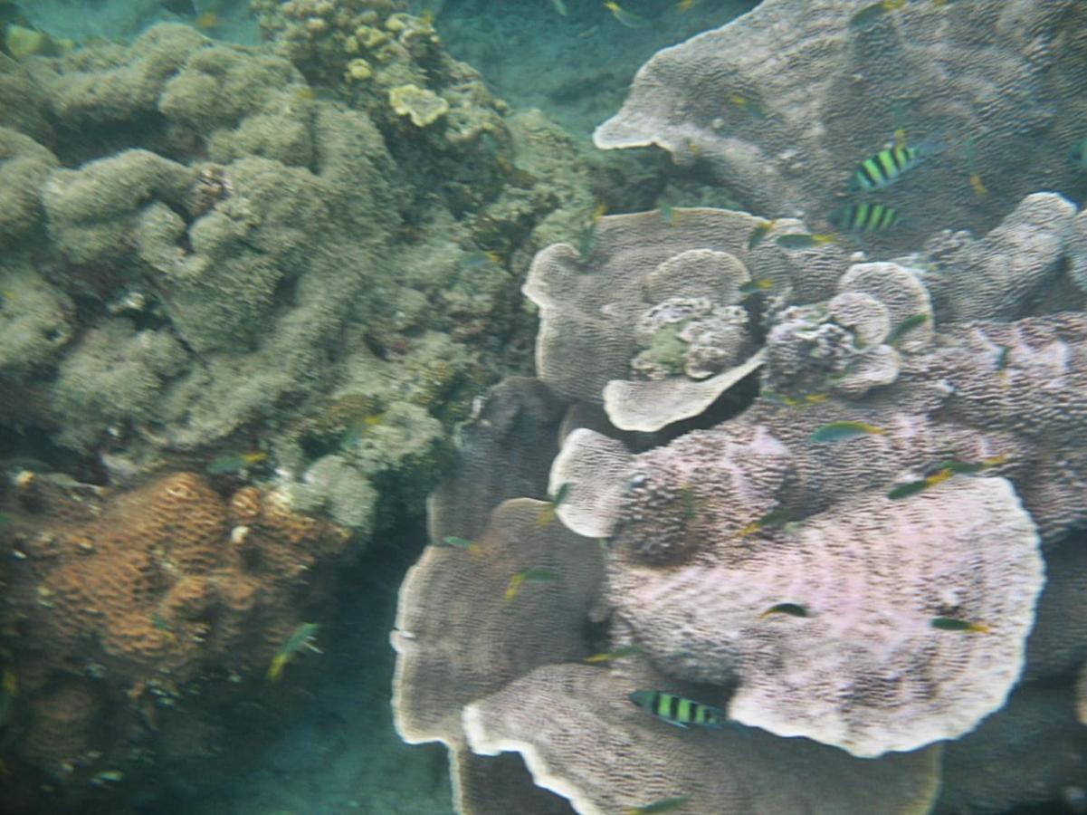 Giman Free Beach Resort Passikudah Buitenkant foto