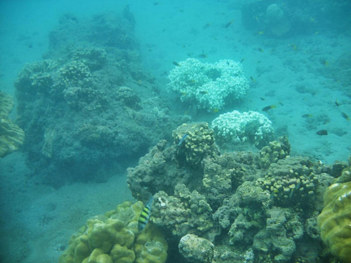 Giman Free Beach Resort Passikudah Buitenkant foto